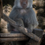 _DSC0182