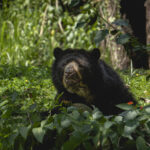 _DSC0410