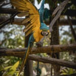 _DSC0632