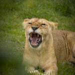 _DSC5378 (1)